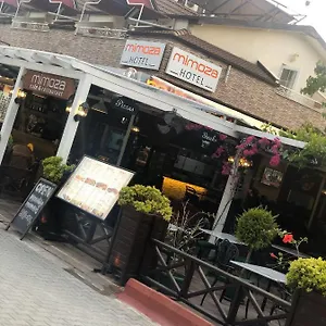Mimoza ***** Олудениз
